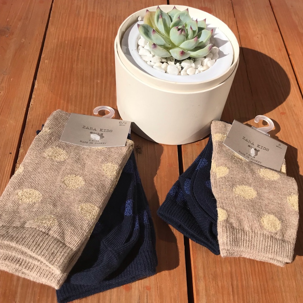 Zara Kids Polka Dot Socks in Navy & Gold NWT